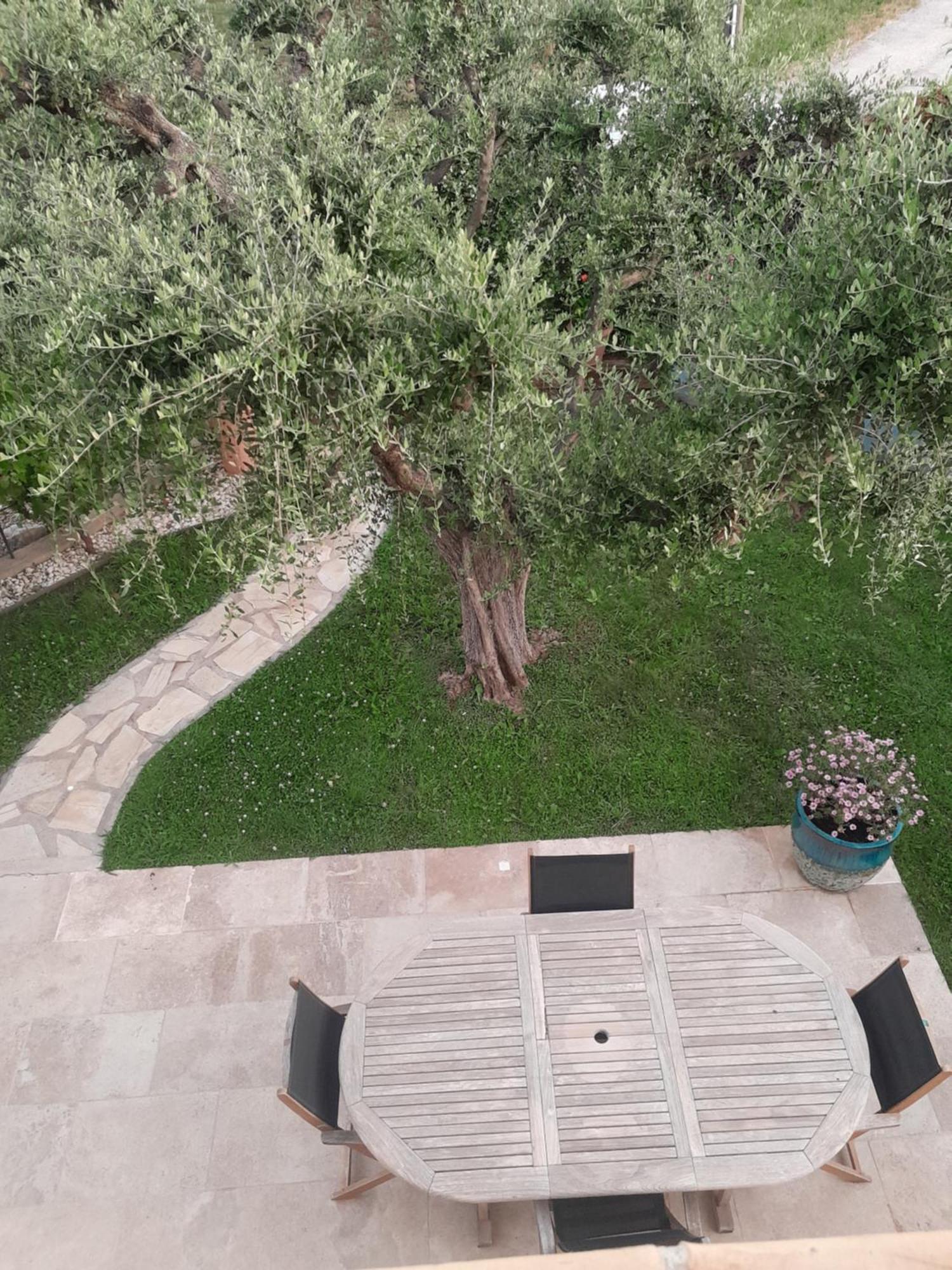 Chambres D Hotes Violetta Hyères Kültér fotó